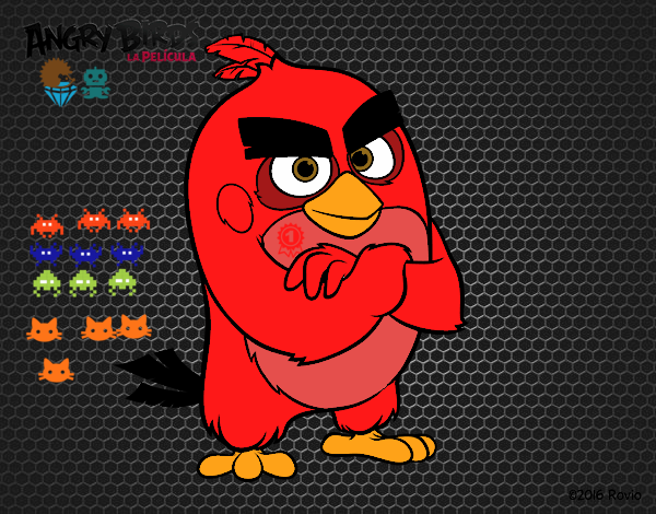 Red de Angry Birds