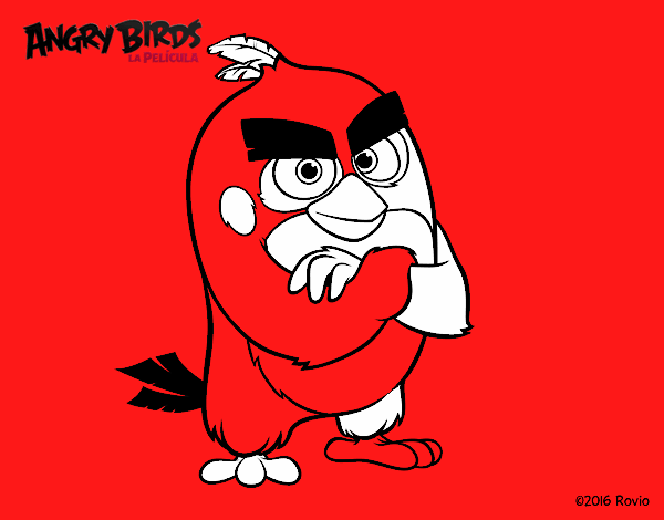 Red de Angry Birds