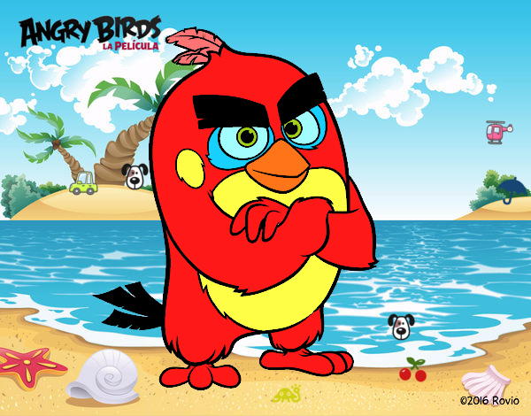 Red de Angry Birds