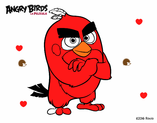 Red de Angry Birds