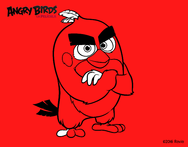 Red de Angry Birds