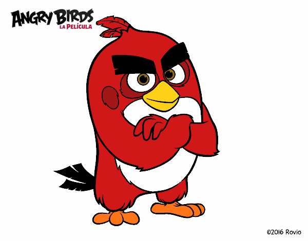 Red de Angry Birds