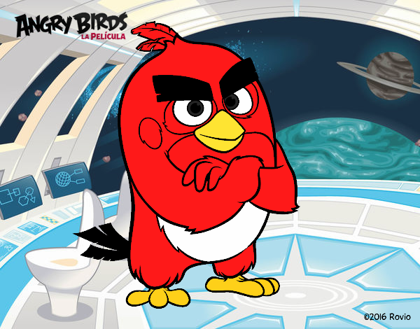 Red de Angry Birds