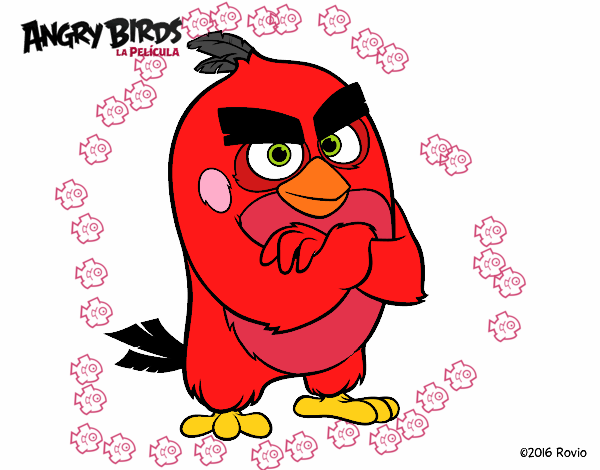 Red de Angry Birds