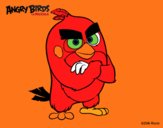 Red de Angry Birds