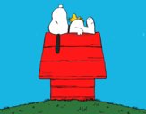 Snoopy durmiendo