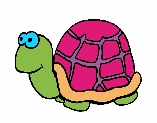 Tortuga 1