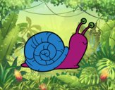 Un caracol