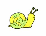 Un caracol