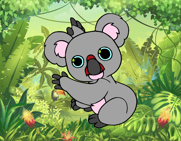 Un Koala