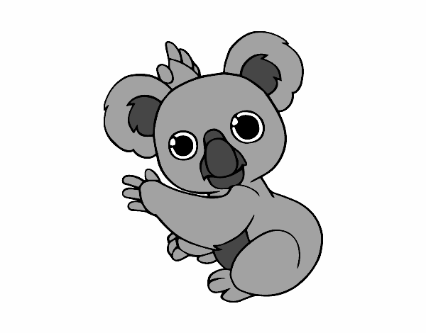 Un Koala