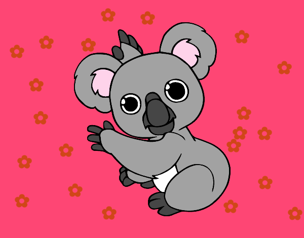 Un Koala