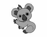 Un Koala