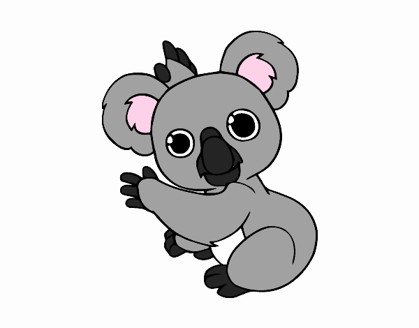 Un Koala