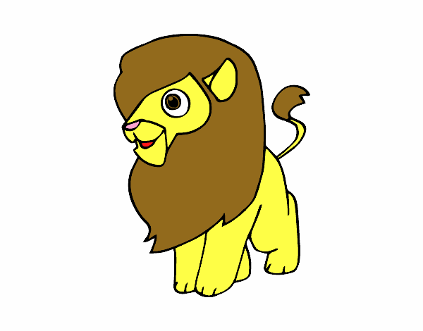 Un león