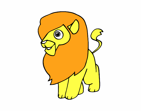 Un león