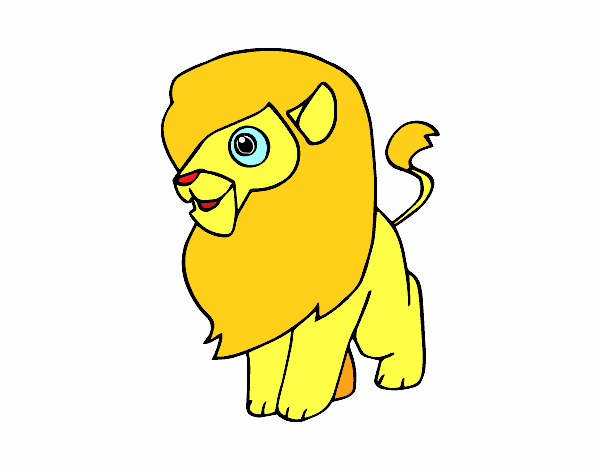 Un león