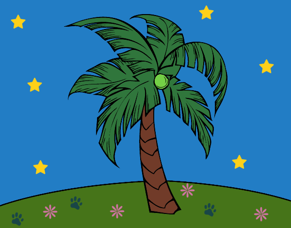 Una palmera