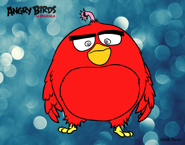 Bomb de Angry Birds