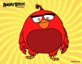 Bomb de Angry Birds