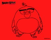 Bomb de Angry Birds