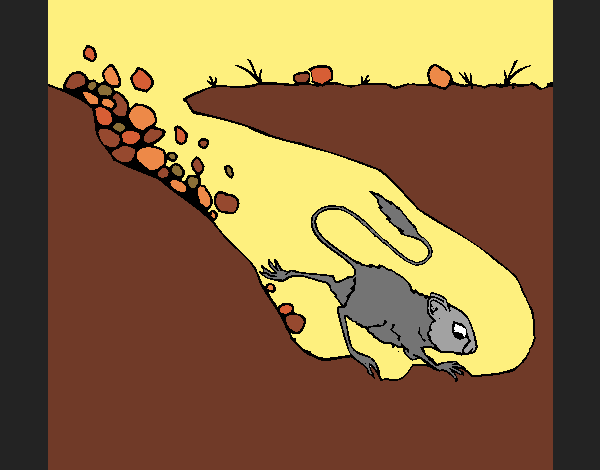 Dibujo Canguro rata pintado por SHEERAN