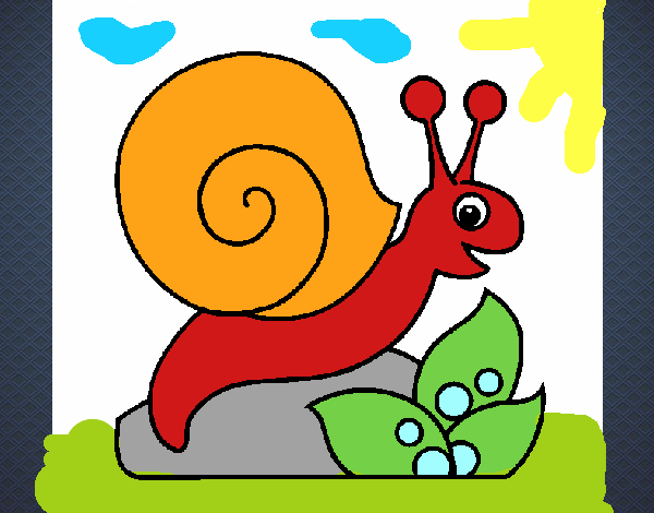 caracol feliz