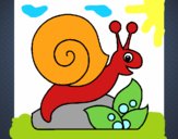 Caracol