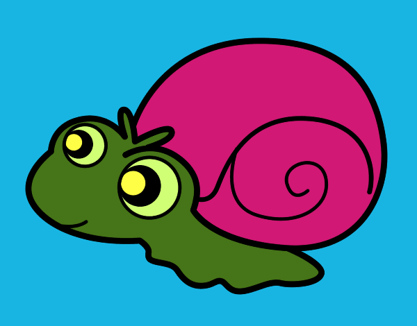 Caracol bebé