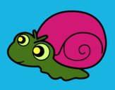 Caracol bebé