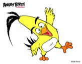 Dibujo Chuck de Angry Birds pintado por geronim