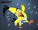 Chuck de Angry Birds