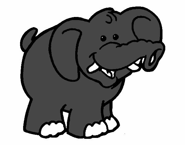 Elefante 6