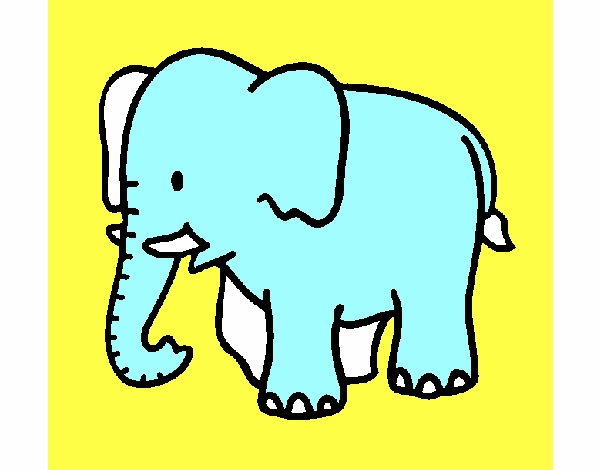 Elefante bebe