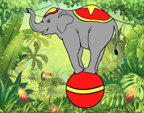 Elefante equilibrista