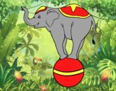 Elefante equilibrista