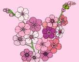 Dibujo Flor de cerezo pintado por maisabe