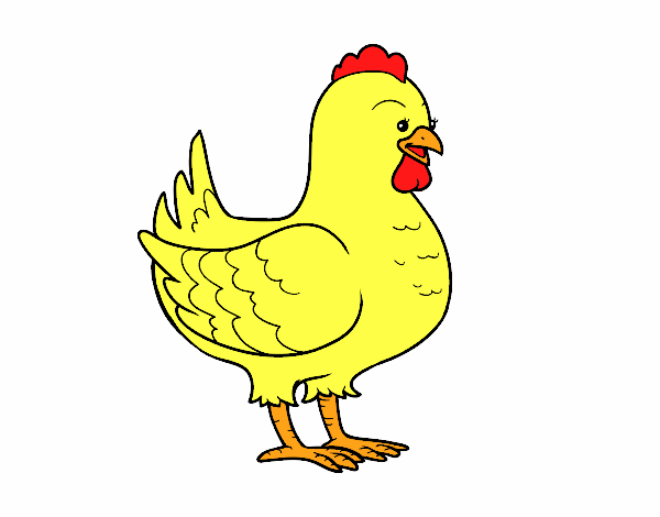 Gallina de una granja