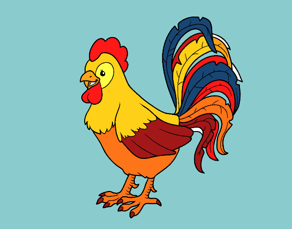 Gallo de una granja