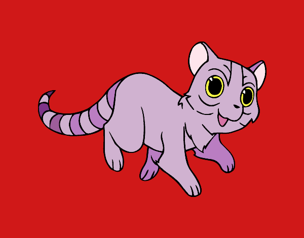Dibujo Gato con cola de anillo pintado por SHEERAN