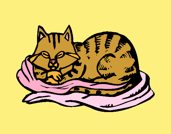 Dibujo Gato en su cama pintado por SHEERAN
