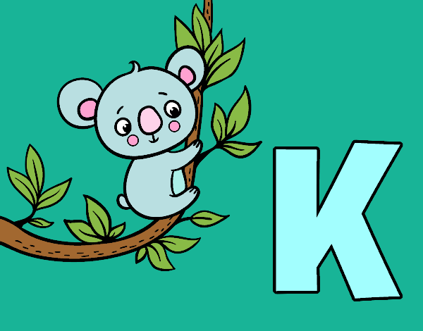 K de Koala