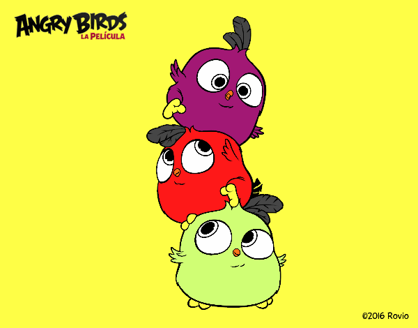 Las crias de Angry Birds