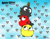 Las crias de Angry Birds