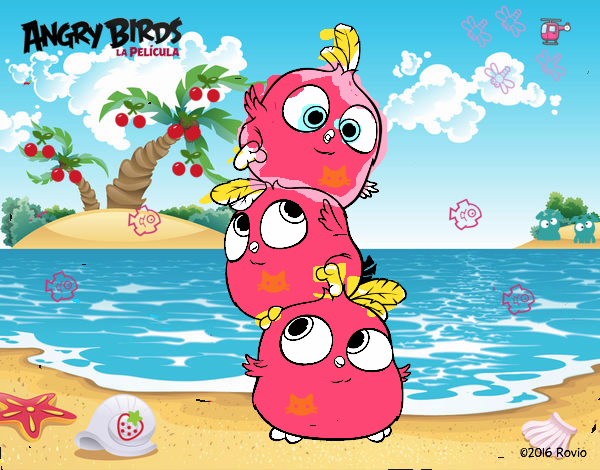 Las crias de Angry Birds