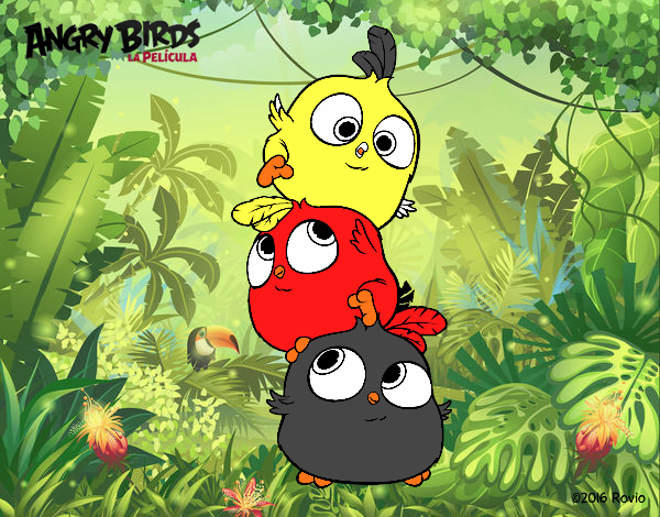 Las crias de Angry Birds