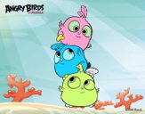 Las crias de Angry Birds