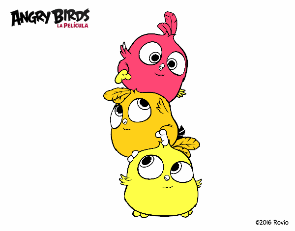 Las crias de Angry Birds