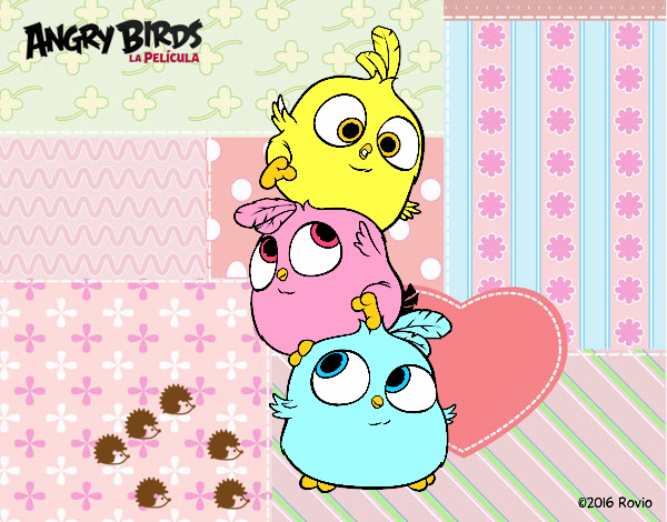 Angry bird's babies