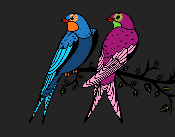 Dibujo Pareja de pájaros pintado por queyla